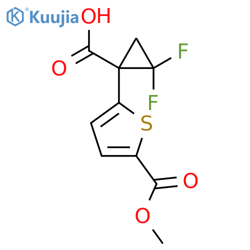 2,2-difluoro-1-5-(methoxycarbonyl)thiophen-2-ylcyclopropane-1-carboxylic acid structure