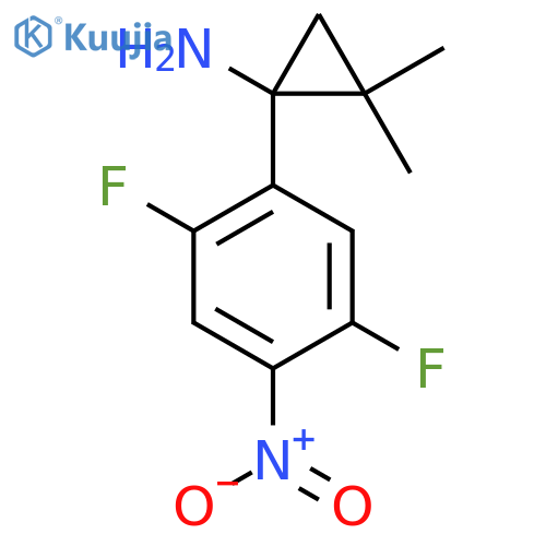 1-(2,5-difluoro-4-nitrophenyl)-2,2-dimethylcyclopropan-1-amine structure