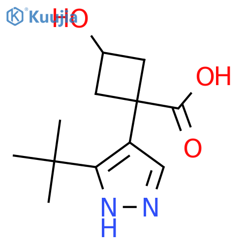 1-(3-tert-butyl-1H-pyrazol-4-yl)-3-hydroxycyclobutane-1-carboxylic acid structure