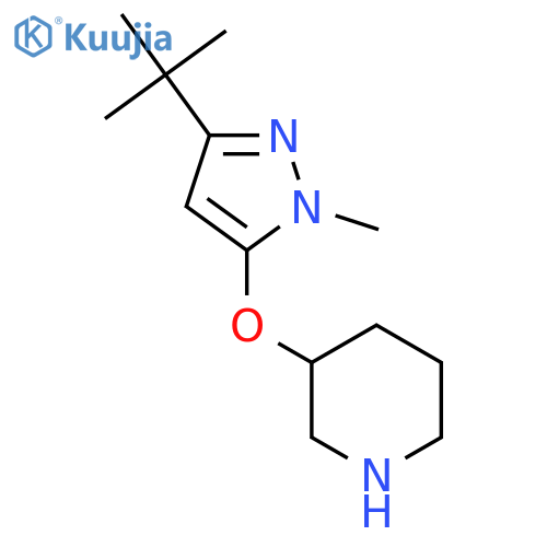3-(3-tert-butyl-1-methyl-1H-pyrazol-5-yl)oxypiperidine structure