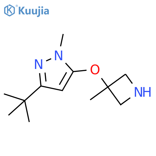 3-tert-butyl-1-methyl-5-(3-methylazetidin-3-yl)oxy-1H-pyrazole structure
