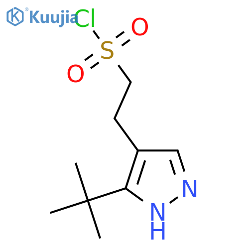 2-(3-tert-butyl-1H-pyrazol-4-yl)ethane-1-sulfonyl chloride structure