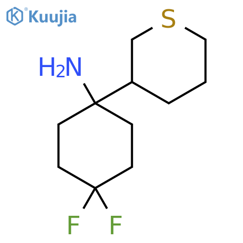 4,4-difluoro-1-(thian-3-yl)cyclohexan-1-amine structure