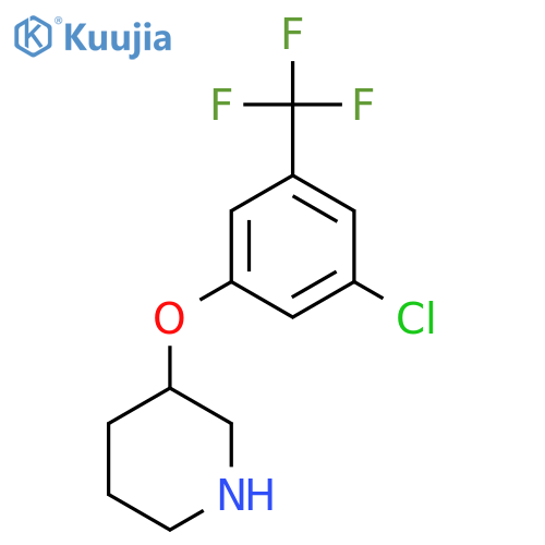 3-3-chloro-5-(trifluoromethyl)phenoxypiperidine structure