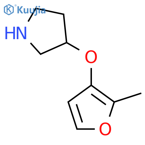 3-(2-methylfuran-3-yl)oxypyrrolidine structure