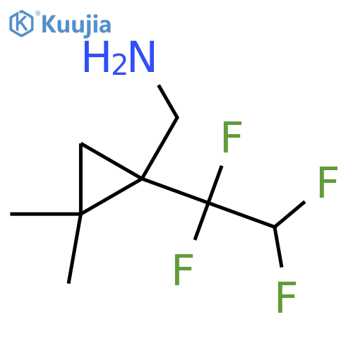 2,2-dimethyl-1-(1,1,2,2-tetrafluoroethyl)cyclopropylmethanamine structure