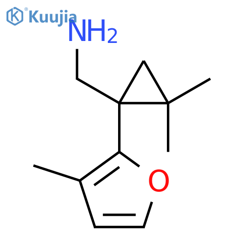 2,2-dimethyl-1-(3-methylfuran-2-yl)cyclopropylmethanamine structure