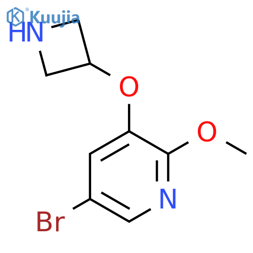 3-(azetidin-3-yloxy)-5-bromo-2-methoxypyridine structure