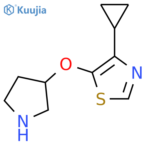 4-cyclopropyl-5-(pyrrolidin-3-yloxy)-1,3-thiazole structure
