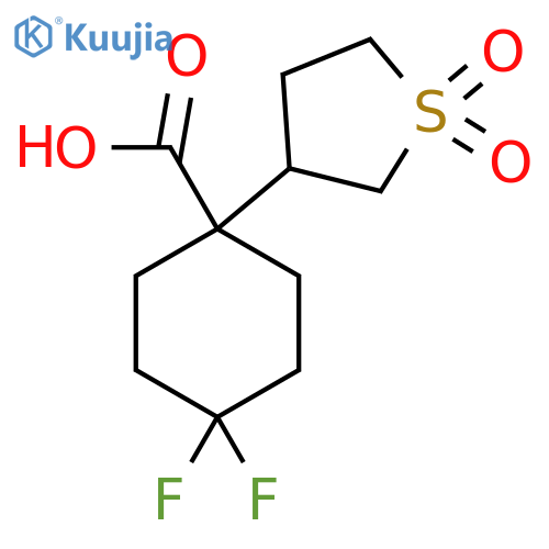 1-(1,1-dioxo-1lambda6-thiolan-3-yl)-4,4-difluorocyclohexane-1-carboxylic acid structure