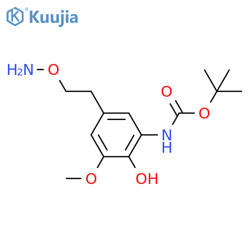 tert-butyl N-{5-2-(aminooxy)ethyl-2-hydroxy-3-methoxyphenyl}carbamate structure