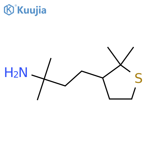 4-(2,2-dimethylthiolan-3-yl)-2-methylbutan-2-amine structure