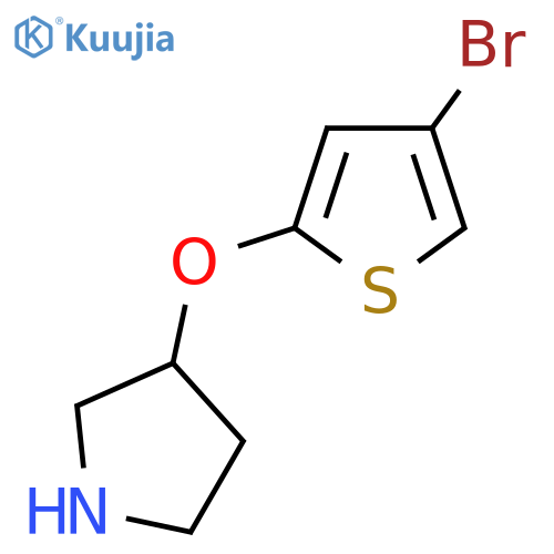 3-(4-bromothiophen-2-yl)oxypyrrolidine structure