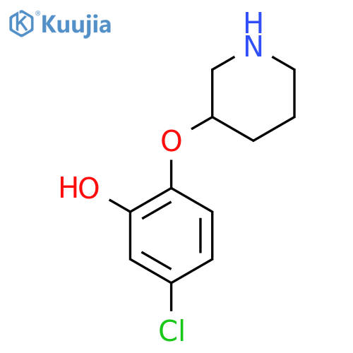 5-chloro-2-(piperidin-3-yloxy)phenol structure