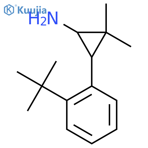 3-(2-tert-butylphenyl)-2,2-dimethylcyclopropan-1-amine structure