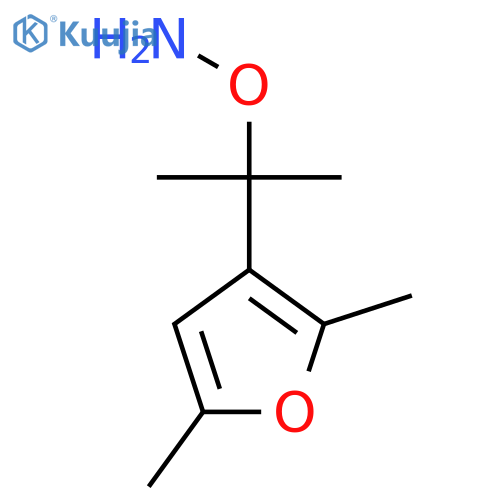 O-2-(2,5-dimethylfuran-3-yl)propan-2-ylhydroxylamine structure