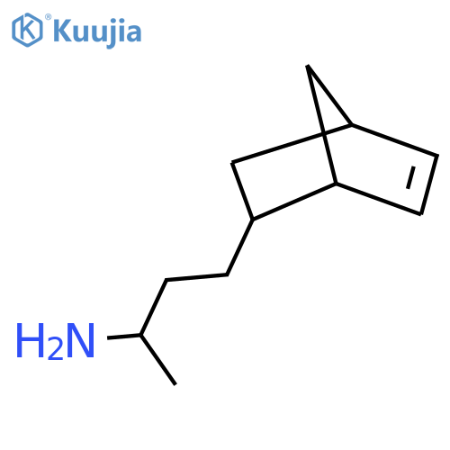4-{bicyclo2.2.1hept-5-en-2-yl}butan-2-amine structure