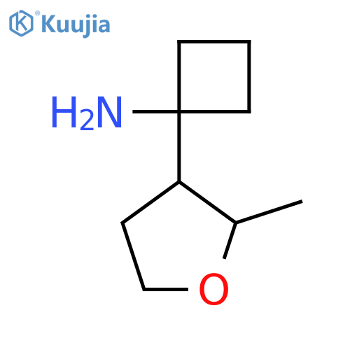 1-(2-methyloxolan-3-yl)cyclobutan-1-amine structure