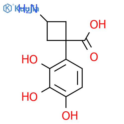 3-amino-1-(2,3,4-trihydroxyphenyl)cyclobutane-1-carboxylic acid structure