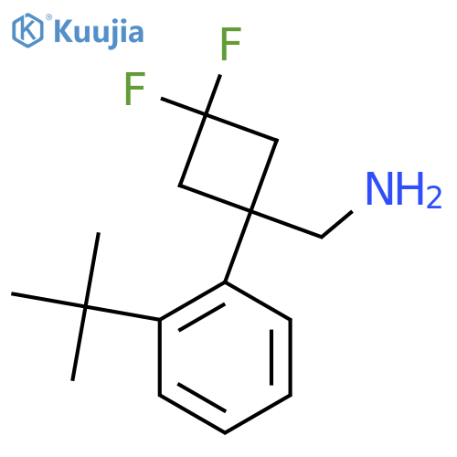 1-(2-tert-butylphenyl)-3,3-difluorocyclobutylmethanamine structure