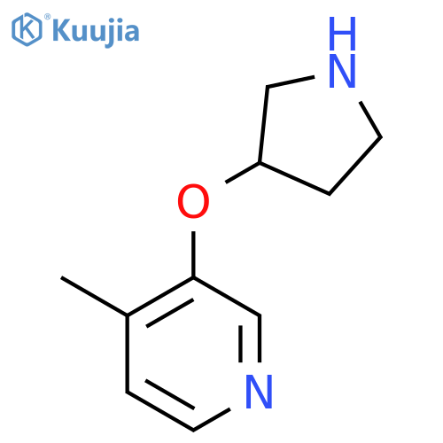 4-Methyl-3-(pyrrolidin-3-yloxy)pyridine structure