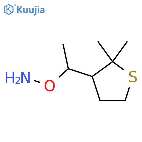 O-1-(2,2-dimethylthiolan-3-yl)ethylhydroxylamine structure