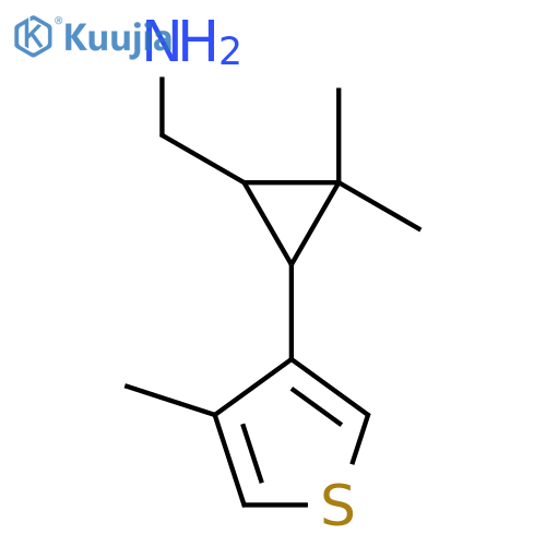 2,2-dimethyl-3-(4-methylthiophen-3-yl)cyclopropylmethanamine structure
