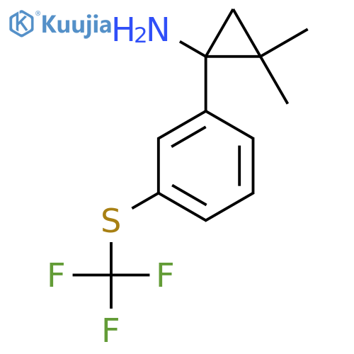 2,2-dimethyl-1-{3-(trifluoromethyl)sulfanylphenyl}cyclopropan-1-amine structure