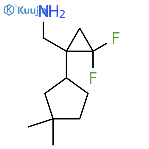 1-(3,3-dimethylcyclopentyl)-2,2-difluorocyclopropylmethanamine structure