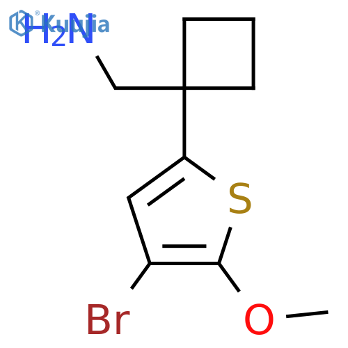 1-(4-bromo-5-methoxythiophen-2-yl)cyclobutylmethanamine structure
