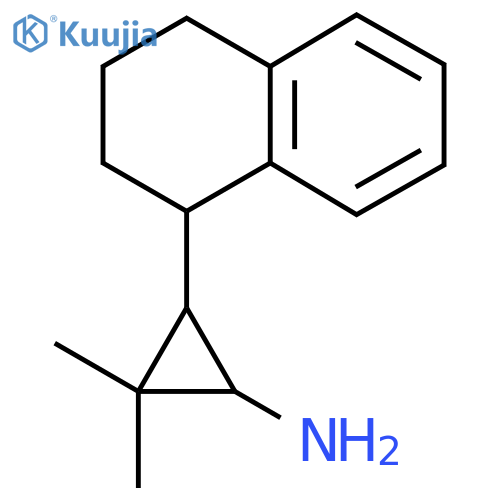 2,2-dimethyl-3-(1,2,3,4-tetrahydronaphthalen-1-yl)cyclopropan-1-amine structure