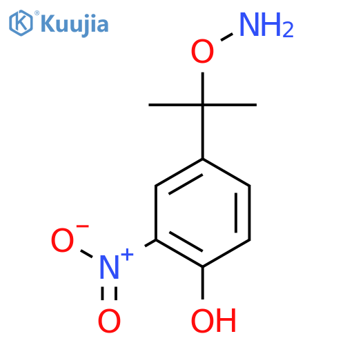 4-2-(aminooxy)propan-2-yl-2-nitrophenol structure