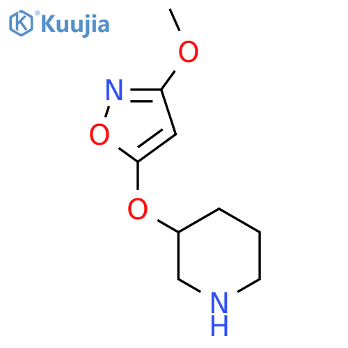 3-(3-methoxy-1,2-oxazol-5-yl)oxypiperidine structure