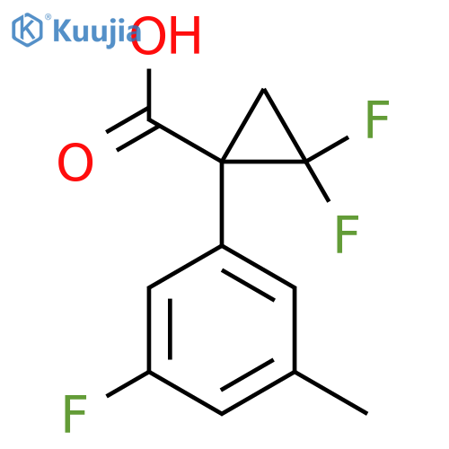 2,2-difluoro-1-(3-fluoro-5-methylphenyl)cyclopropane-1-carboxylic acid structure