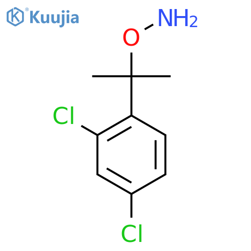 O-2-(2,4-dichlorophenyl)propan-2-ylhydroxylamine structure