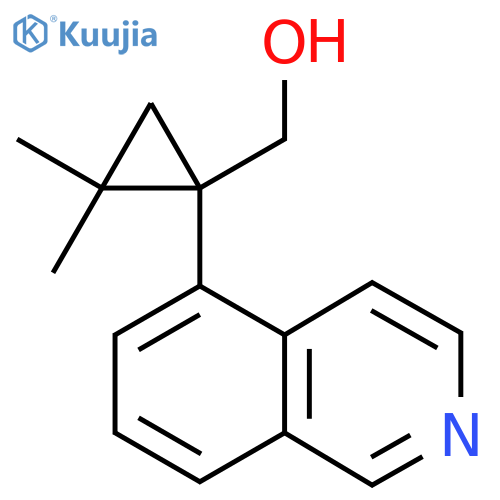 1-(isoquinolin-5-yl)-2,2-dimethylcyclopropylmethanol structure