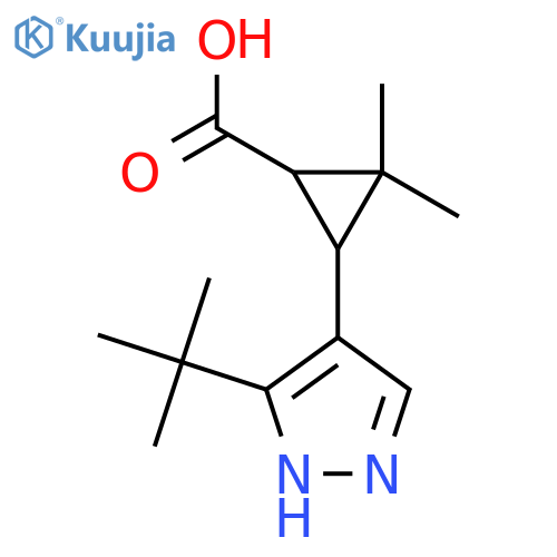3-(3-tert-butyl-1H-pyrazol-4-yl)-2,2-dimethylcyclopropane-1-carboxylic acid structure