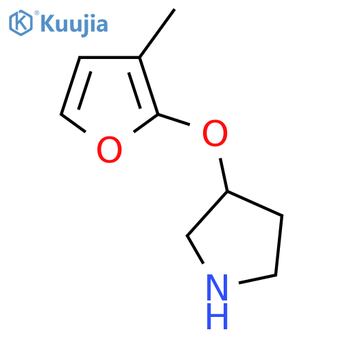 3-(3-methylfuran-2-yl)oxypyrrolidine structure