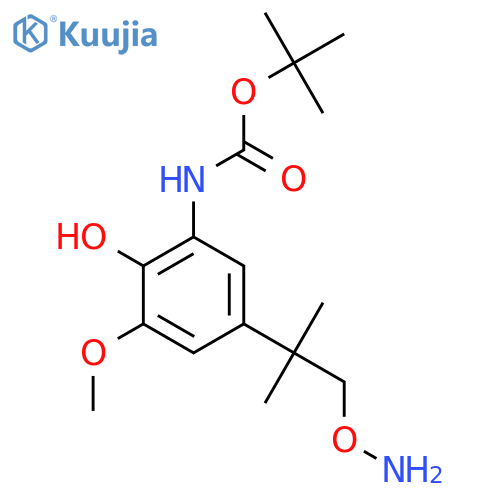 tert-butyl N-{5-1-(aminooxy)-2-methylpropan-2-yl-2-hydroxy-3-methoxyphenyl}carbamate structure