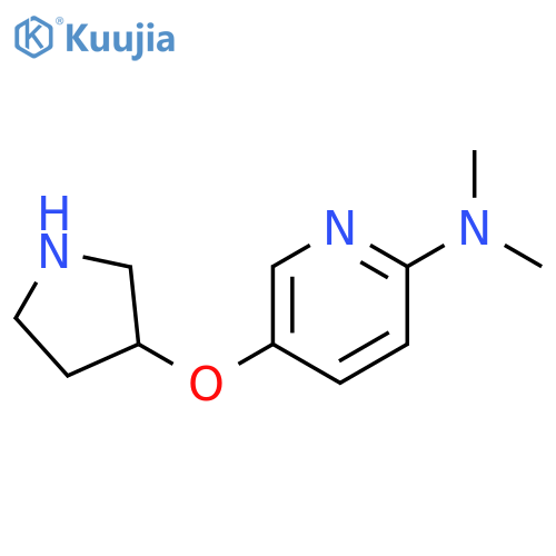 N,N-dimethyl-5-(pyrrolidin-3-yloxy)pyridin-2-amine structure