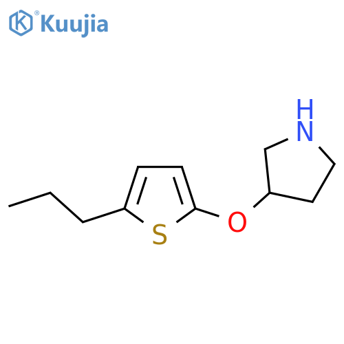 3-(5-propylthiophen-2-yl)oxypyrrolidine structure