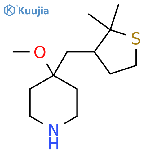 4-(2,2-dimethylthiolan-3-yl)methyl-4-methoxypiperidine structure