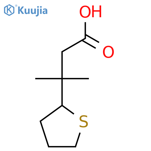 3-methyl-3-(thiolan-2-yl)butanoic acid structure