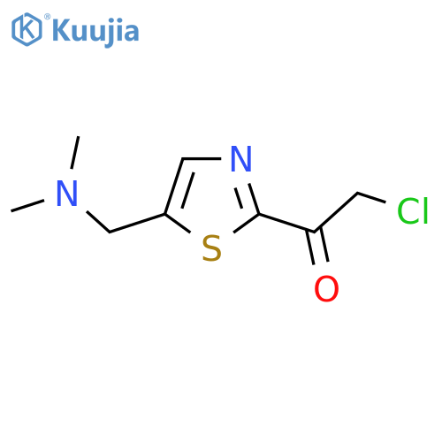 2-chloro-1-{5-(dimethylamino)methyl-1,3-thiazol-2-yl}ethan-1-one structure