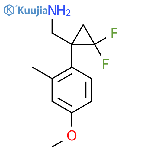 2,2-difluoro-1-(4-methoxy-2-methylphenyl)cyclopropylmethanamine structure