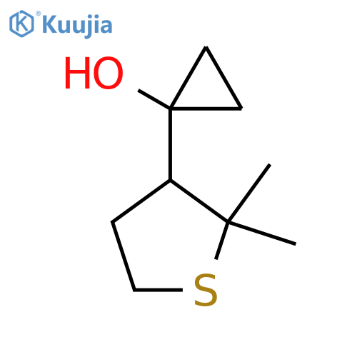 1-(2,2-dimethylthiolan-3-yl)cyclopropan-1-ol structure