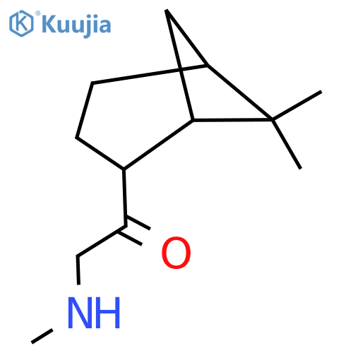 1-{6,6-dimethylbicyclo3.1.1heptan-2-yl}-2-(methylamino)ethan-1-one structure