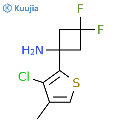 1-(3-chloro-4-methylthiophen-2-yl)-3,3-difluorocyclobutan-1-amine structure