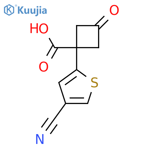 1-(4-cyanothiophen-2-yl)-3-oxocyclobutane-1-carboxylic acid structure