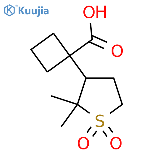 1-(2,2-dimethyl-1,1-dioxo-1lambda6-thiolan-3-yl)cyclobutane-1-carboxylic acid structure